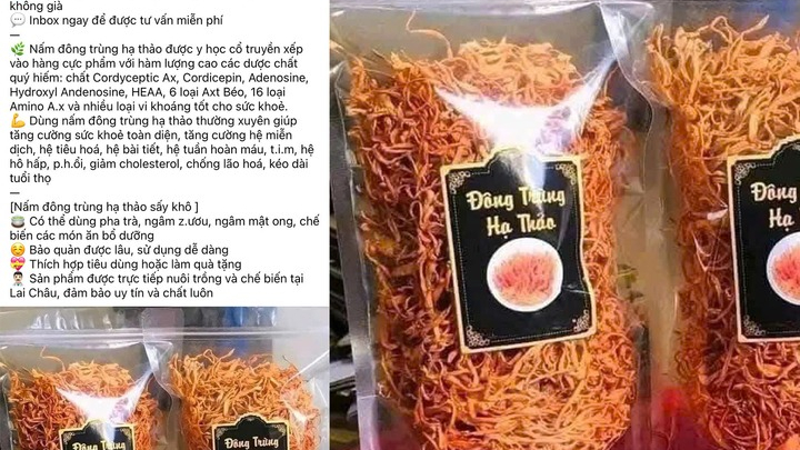 Đông trùng hạ thảo 350.000 đồng/kg: Giá rẻ bất thường, chất lượng khó kiểm soát