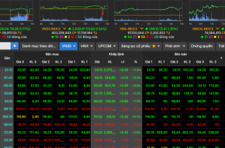 VN-Index tăng 2,5% trong tháng đầu tiên năm 2026