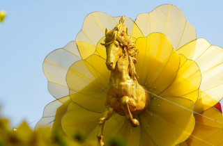 Người dân TP.HCM chen chân ngắm linh vật ngựa bay ra từ hoa mai vàng rực rỡ