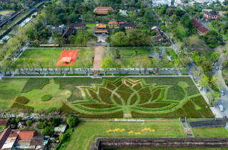 Đoá sen khổng lồ trong Kinh thành Huế và linh vật ngựa hút khách dịp cận Tết