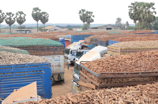 Thủ tướng yêu cầu khẩn trương giải tỏa ách tắc, thông quan kịp thời thực phẩm, hàng hoá