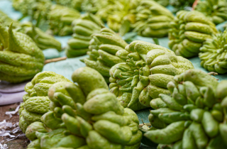 Mất mùa do bão lũ, phật thủ tăng giá mạnh dịp Tết Nguyên đán 2026