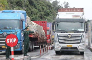 Tạm dừng áp dụng Nghị định 46 về an toàn thực phẩm đến hết 15/4