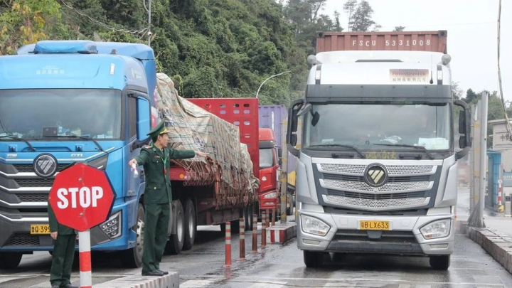 Tạm dừng áp dụng Nghị định 46 về an toàn thực phẩm đến hết 15/4