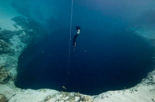 Phát hiện hơn 1.700 virus cổ đại dưới đáy Biển Đông