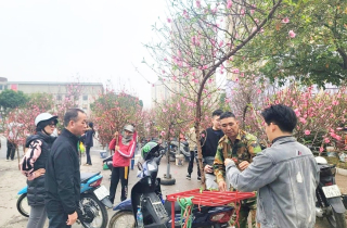 Bắc Bộ tăng nhiệt, ngày có mưa nhỏ rải rác