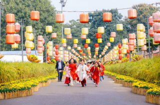 Độc đáo đường hoa Tết chưa từng có tại Hoàng thành Thăng Long