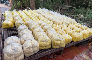 Trộn chất gây ung thư vào gần 2 tấn riềng xay bán ra chợ ở Bắc Ninh